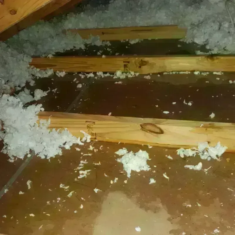 Attic Water Damage in Danville, NH